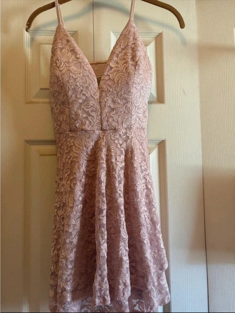 Emerald Sundae Blush Lace V-Neck Spaghetti Strap Mini Dress